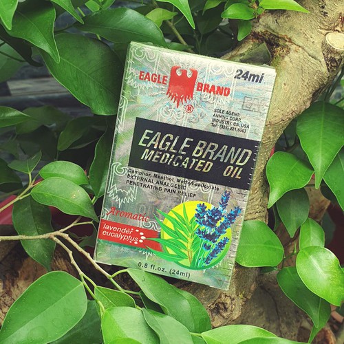 Dầu gió con ó nước trắng Lavender Singapore