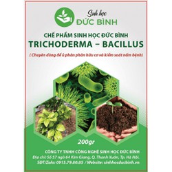 >> BÁO GIÁ CHẾ PHẨM SINH HỌC HỮU CƠ VI SINH TRICHODERMA 1000G (CHỨA NẤM ĐỐI KHÁNG TRICHODERMA,BACILLUS SUBTILIS,STREPTOMYCES SPP) - TRICHODERMA FUNGI 1000G | Shopee Lazada Sendo Tiki mới nhất 194 TRICHODERMA BACILLUS - CHẾ PHẨM SINH HỌC CHUYÊN Ủ PHÂN HỮU CƠ VÀ KIỂM SOÁT NẤM BỆNH