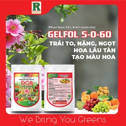 Phân bón Kali Gel đậm đặc Gelfol 5-0-60