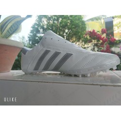 3 Sọc Giá Rẽ
