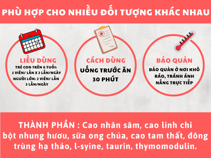 Các thành phần chính trong Ginseng 