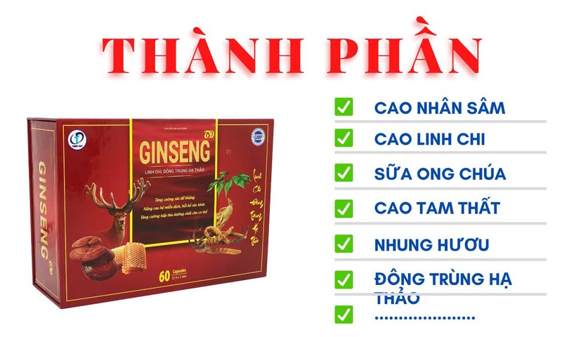 HƯỚNG DẪN SỬ DỤNG