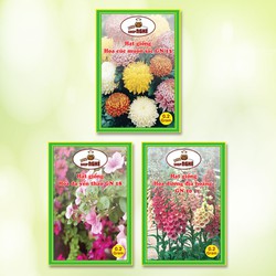 Combo 3 loại Hạt giống hoa: Hoa cúc muôn sắc GN 13 + Hoa dạ yến thảo GN 18 + Hoa dương địa hoàng GN 20 Combo 3 loại Hạt giống hoa: Hoa cúc muôn sắc GN 13 + Hoa dạ yến thảo GN 18 + Hoa dương địa hoàng GN 20