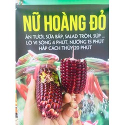BẮP NỮ HOÀNG ĐỎ Loại 1