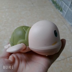 rùa con tự bơi