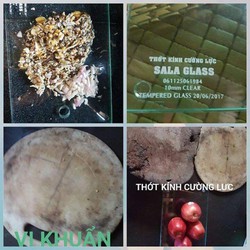 Thớt cường lực SALA Việt Nam