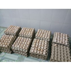 trứng gà ta sạch sỉ và lẻ tại Biên Hòa