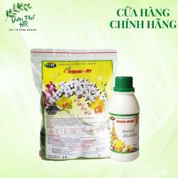 COMBO phân bón hoa lan dưỡng cây, kích dưỡng hoa, màu đẹp, lâu tàn