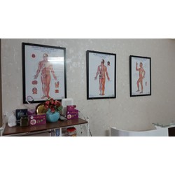 bộ tranh châm cứu