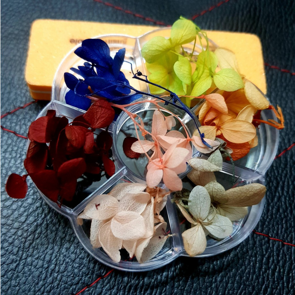 HOA KHÔ TRANG TRÍ MÓNG TAY NGHỆ THUẬT - HOA LỤA ÉP KHÔ CÁNH TO SIÊU MỎNG ĐẮP GEL ẨN PHONG CÁCH NHẬT BẢN