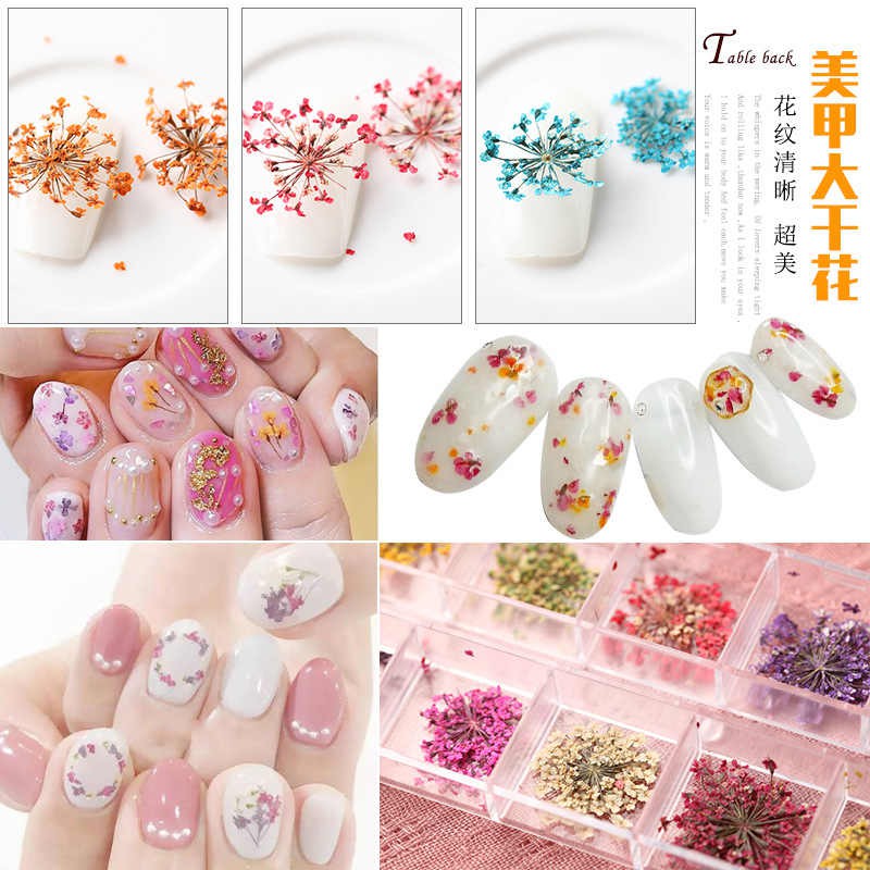 HOA KHÔ TRANG TRÍ MÓNG TAY - SET 12 MÀU HOA CHÙM ĐẮP GEL ẨN PHONG CÁCH NHẬT BẢN