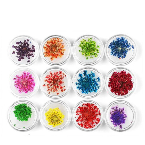 HOA KHÔ TRANG TRÍ MÓNG TAY - SET 12 MÀU HOA CHÙM ĐẮP GEL ẨN PHONG CÁCH NHẬT BẢN