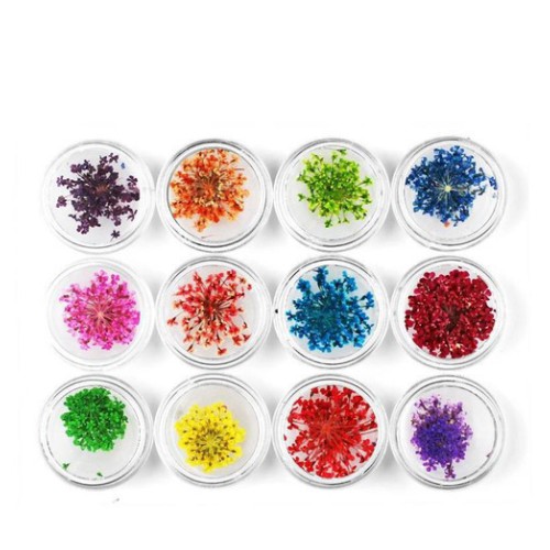 HOA KHÔ TRANG TRÍ MÓNG TAY - SET 12 MÀU HOA CHÙM ĐẮP GEL ẨN PHONG CÁCH NHẬT BẢN