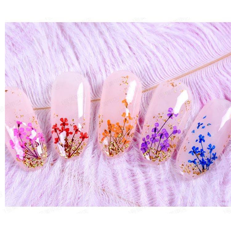 HOA KHÔ TRANG TRÍ MÓNG TAY - SET 12 MÀU HOA CHÙM ĐẮP GEL ẨN PHONG CÁCH NHẬT BẢN