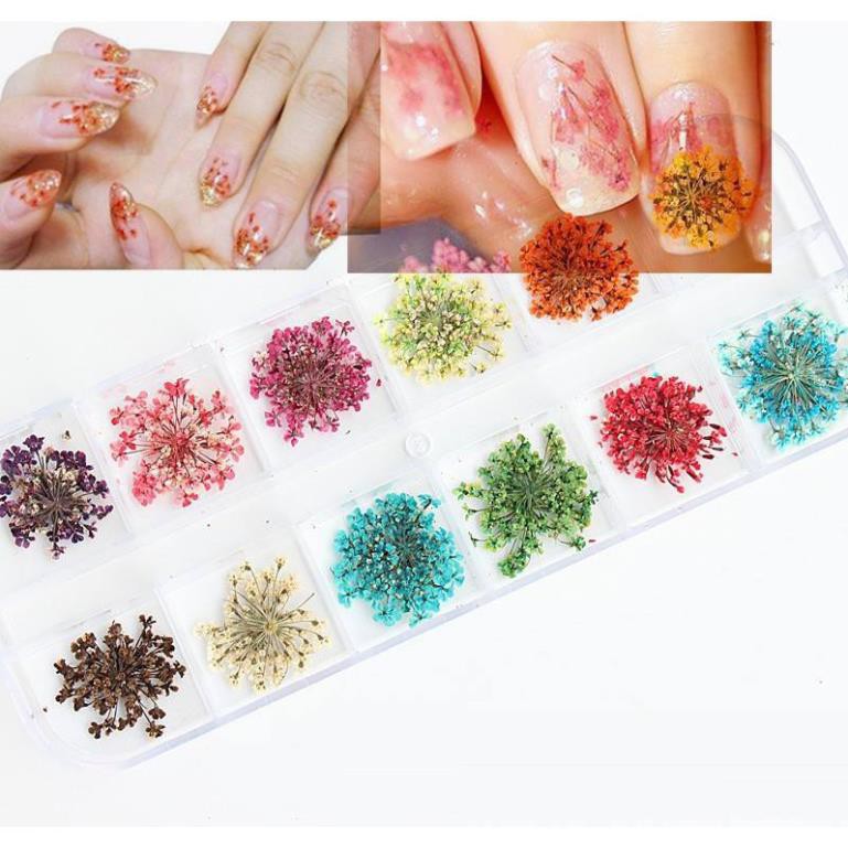 HOA KHÔ TRANG TRÍ MÓNG TAY - SET 12 MÀU HOA CHÙM ĐẮP GEL ẨN PHONG CÁCH NHẬT BẢN