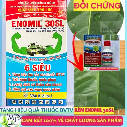 Rầy Thái 100gr - Chuyên Các Loại Rầy và Công Trùng Chích Hút Trên Cây Trồng - Rầy Cánh Trắng - Rầy Xanh - Rệp - Bọ Trĩ - Rệp sáp - rệp muội - rệp vảy - Bọ xít - Muỗi Hành - XỊT LÀ CHẾT