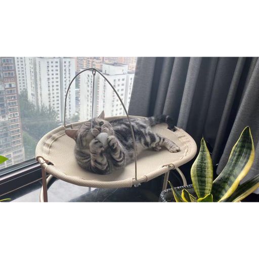 ĐÁNH GIÁ] Giường đệm võng cho mèo hình Oval dài 63cm kèm quả bông 