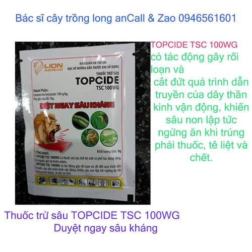 Thuốc duyệt ngay sâu kháng Topcide TSC 100WG.Thuốc trừ sâu thế hệ mới có nguồn gốc từ thiên nhiên