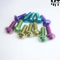 Ốc Đĩa TITAN GR5 8li25 Dù Mỏng Gắn Cho Dòng Xe Ya ma ha- Suzuki Như Ex 135- Raider-Sirius Ốc Đĩa TITAN GR5 8li25 Dù Mỏng Gắn Cho Dòng Xe Ya ma ha- Suzuki Như Ex 135- Raider-Sirius
