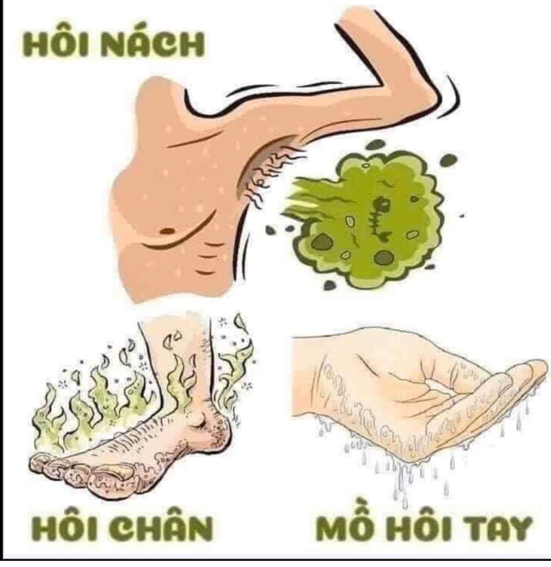 Hôi nách trần kim huyền