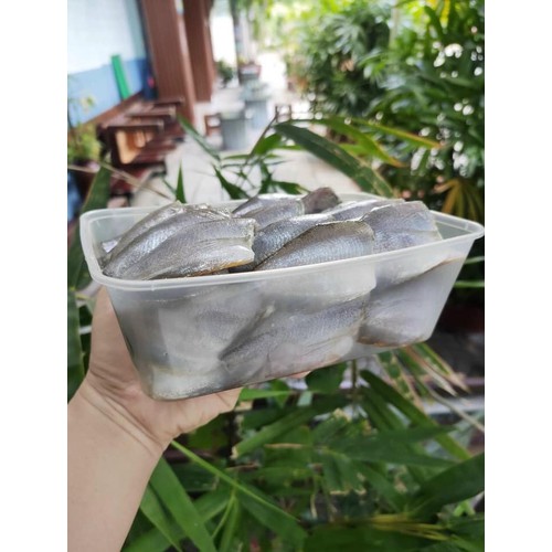 CÁ SẶC ĐỒNG (1kg)