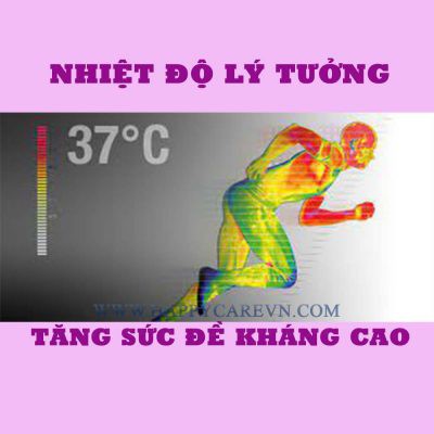 Đai Đá Nóng Hàn Quốc Happy Care + Germanium