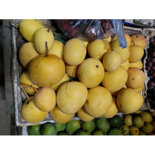 Xoài Úc chất lượng