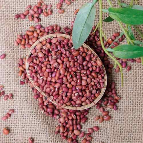 500GRAM ĐẬU ĐỎ HẠT NHỎ ( đậu quê)