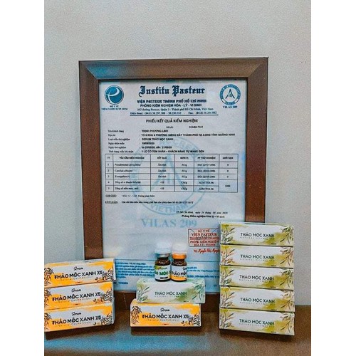 Thảo Mộc Xanh X5 - Da căn bóng