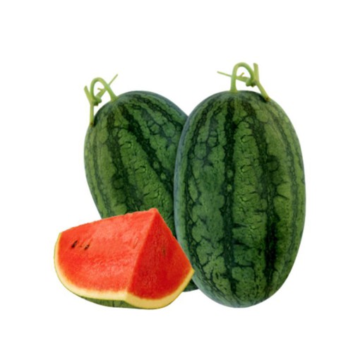 dưa hấu Gò Công