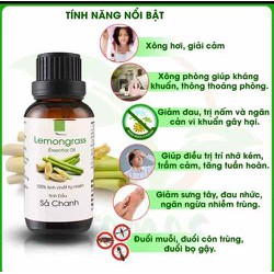 XẢ KHO-Tinh dầu sả chanh
