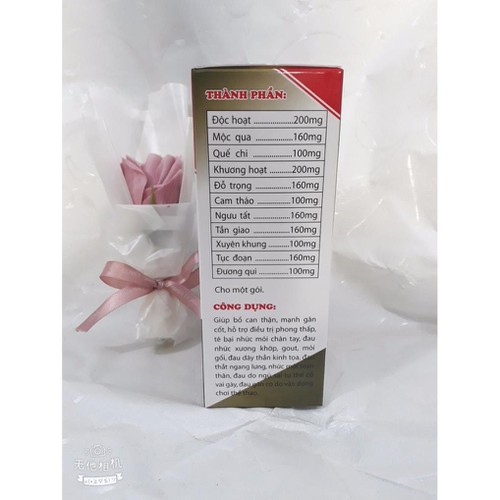 THẤP KHỚP CỐT THỐNG HOÀN, giúp mạnh gân cốt, giảm đau nhức xương khớp, đau thần kinh tọa