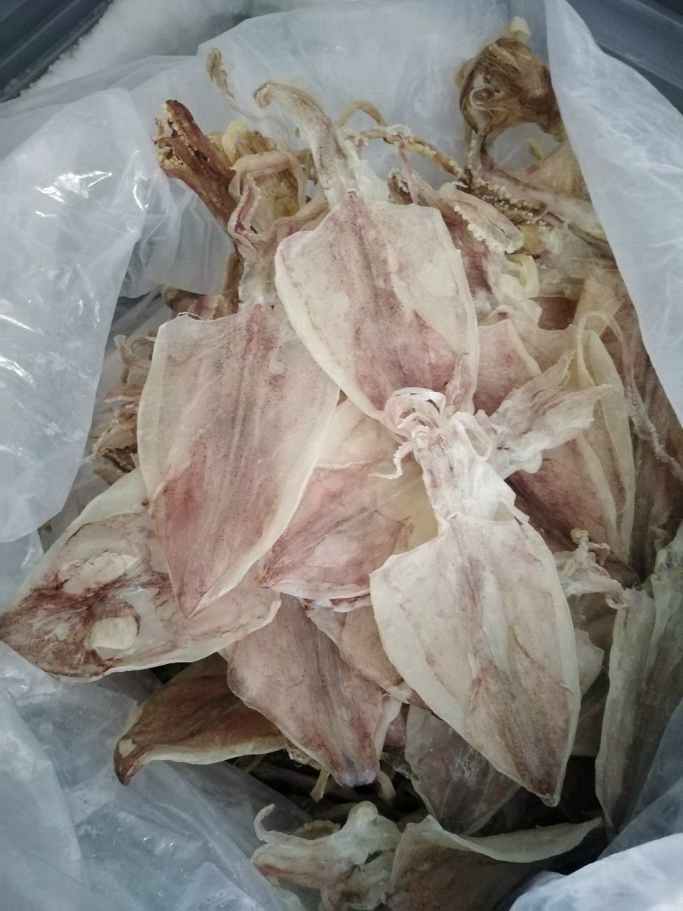 Khô mực đặc sản Kiên Giang - Loại 50-60 con/1KG, vị ngọt, dày, không đắng