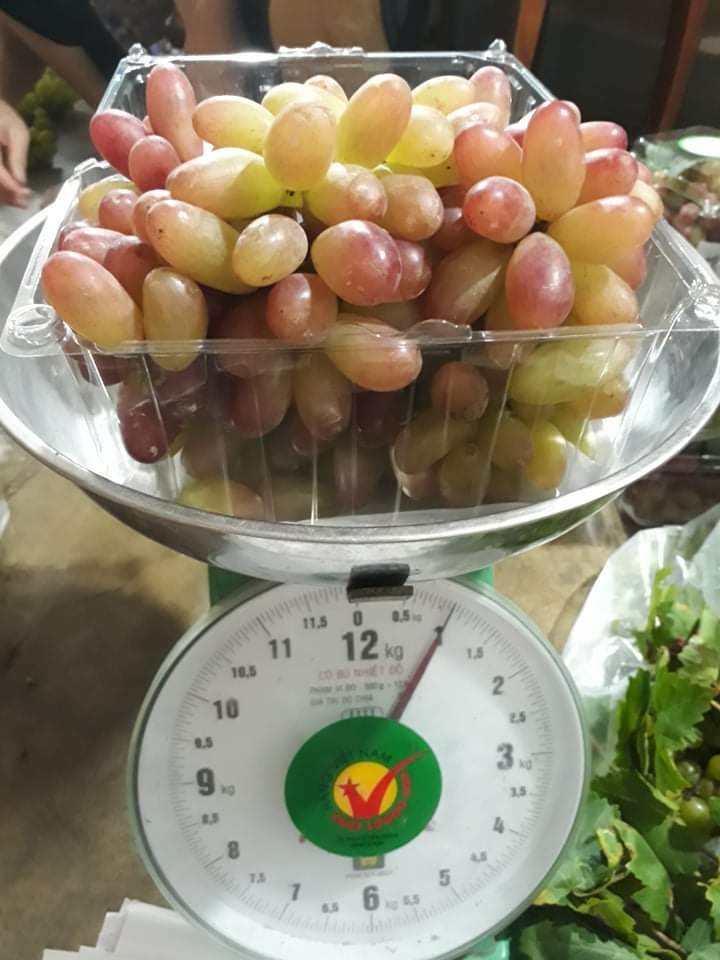Nho Hồng Nhật Ninh Thuận ( Hộp 0.5kg - 57k )