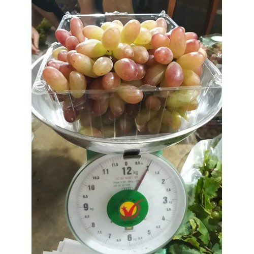 Nho Hồng Nhật Ninh Thuận ( Hộp 0.5kg - 57k )