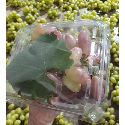 Nho Hồng Nhật Ninh Thuận ( Hộp 0.5kg - 57k )