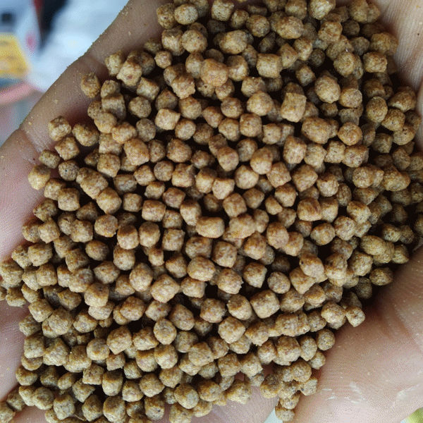 1kg Cám cá Cargill aquexel 40% đạm mỹ (hạt 1mm) cho cá cảnh, mồi câu siêu dính