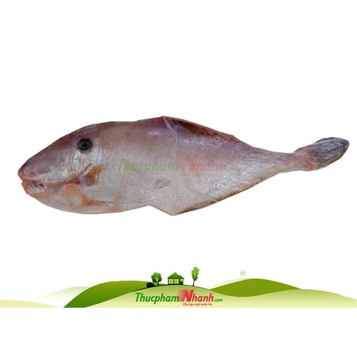 Cá bò da biển làm sạch cấp đông - 500g