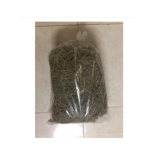 CÂY NỔ KHÔ 1KG - SÂM TANH TÁCH KHÔ
