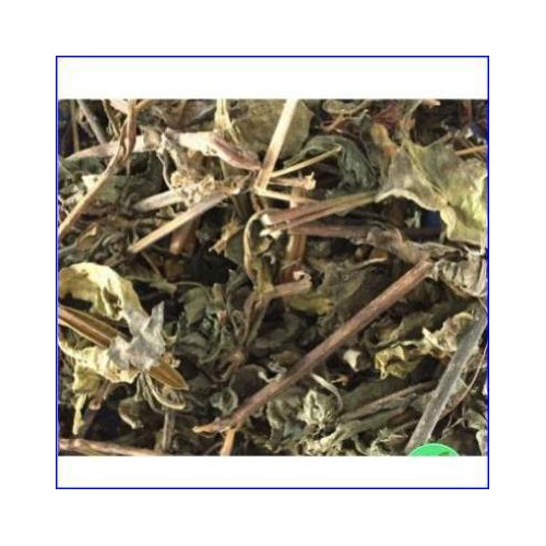 CÂY NỔ KHÔ 1KG - SÂM TANH TÁCH KHÔ