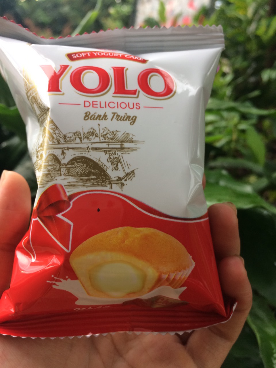 Bịch 10 Bánh Trứng Nhân Sữa Chua YOLO GATO