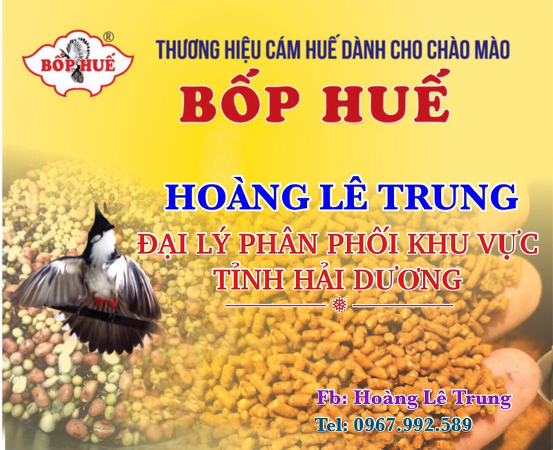Cám Chào Mào Dinh Dưỡng Cao Cấp Bốp Huế - Cám Thi Đấu 2 Trong 1 - Đắng Cấp Trên Mọi Đấu Trường