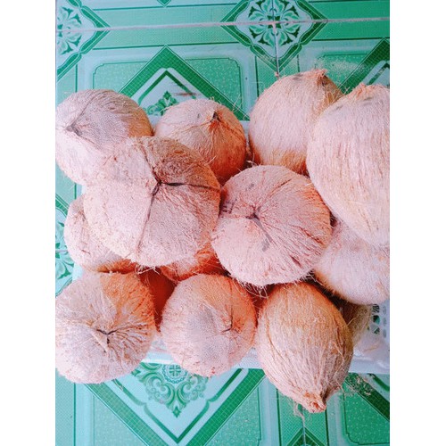 Trái dừa khô - 1 trái