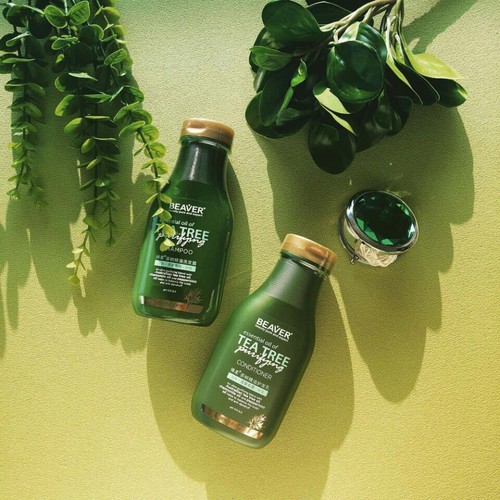 Dầu gội xả beaver trà xanh tea tree chống rụng, chống gầu 350ml - Chính  Hãng - Dầu Gội | TheFaceHolic.com