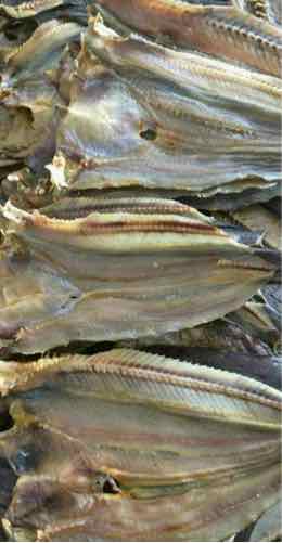 khô cá ngát