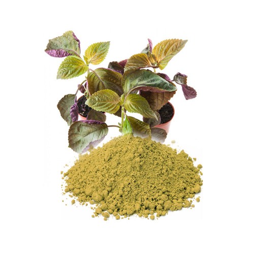 Bột Tía Tô Sấy Lạnh CvdMart 100g - Perilla Powder CvdMart