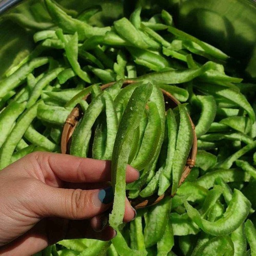 Vỏ Bưởi Sấy Dẻo Lon 250g- Mứt Tết- Free ship- Ăn Vặt SK House