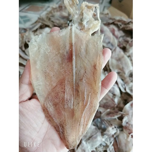 Khô mực đặc sản Kiên Giang - Loại 50-60 con/1KG, vị ngọt, dày, không đắng