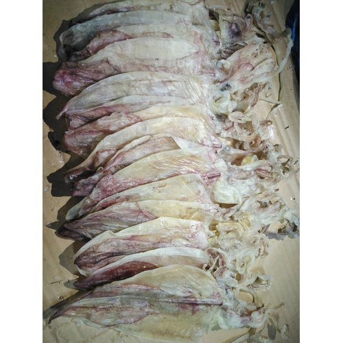 Khô mực đặc sản Kiên Giang - Loại 50-60 con/1KG, vị ngọt, dày, không đắng