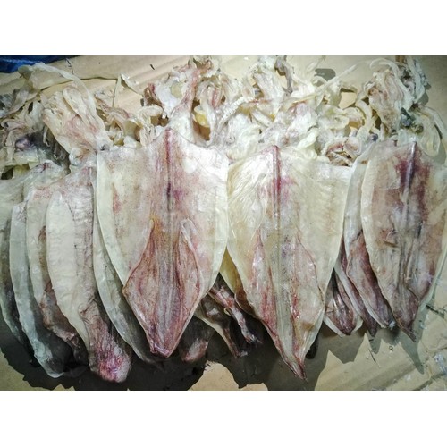 Khô mực đặc sản Kiên Giang - Loại 50-60 con/1KG, vị ngọt, dày, không đắng
